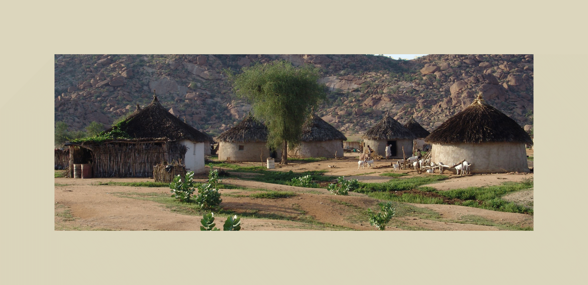 Ethiopia Is Done If The Elderly Cede Their Traditional Power