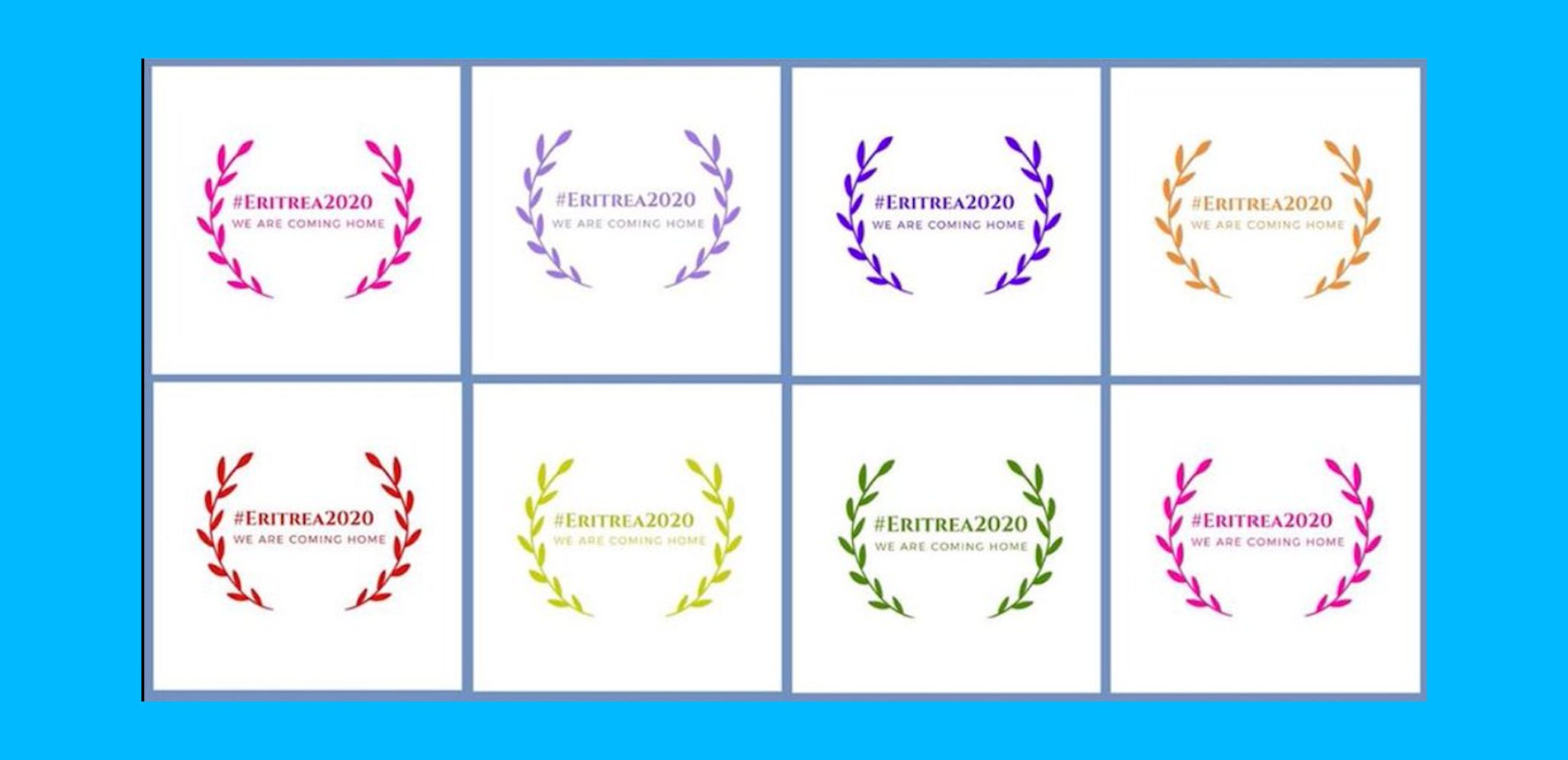 Eritrea Vision 2020: Building An Effective Civil Society